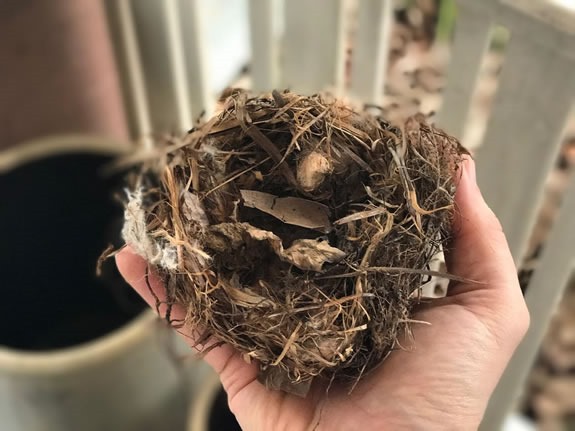 My Earth Garden: Bird's Nest