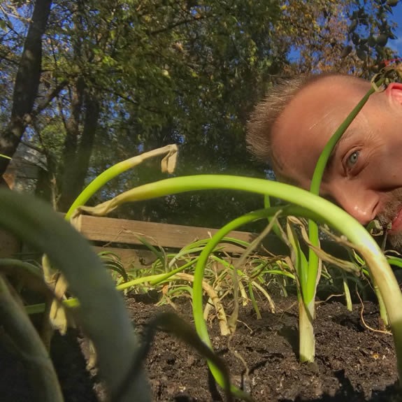 My Earth Garden / Crazy About Onions