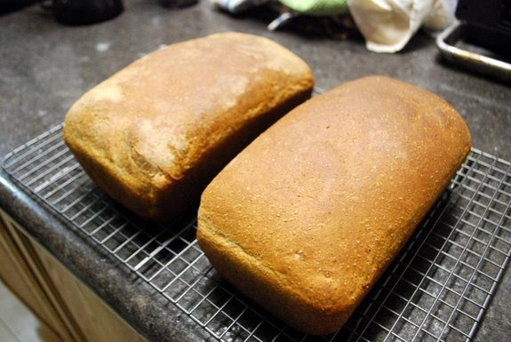 bread10-11 bread10-11