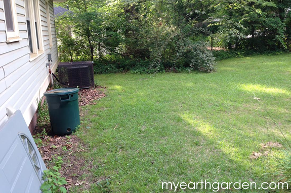 Back Garden Before