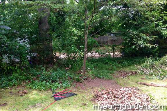 Back Garden During 1