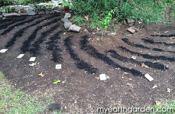 Back Garden Planting