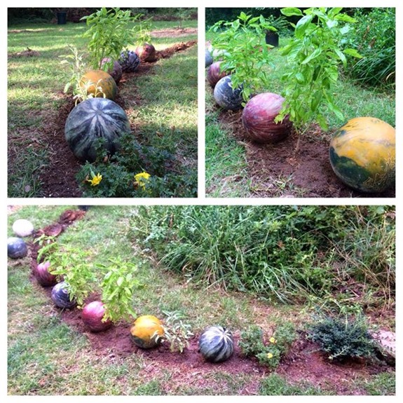 Bowling Ball Garden
