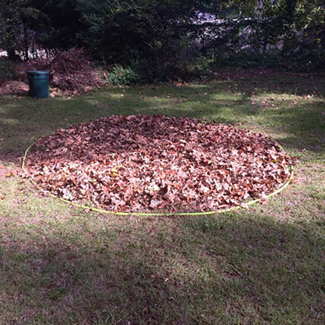 Back Garden Labyrinth