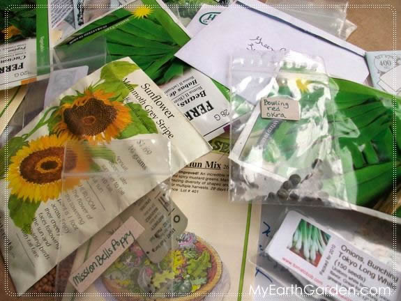 Lessons in Seed Starting: Reduce, Reuse, Recycle