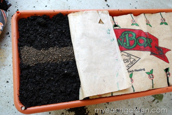 MyEarthGarden: The Grow Box