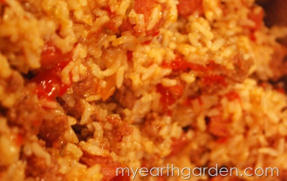 My Earth Garden: Dirty Rice Recipe