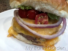 hamburgers