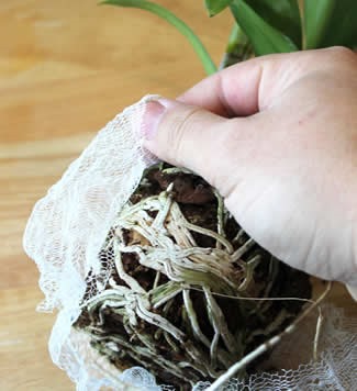 loofah-netting