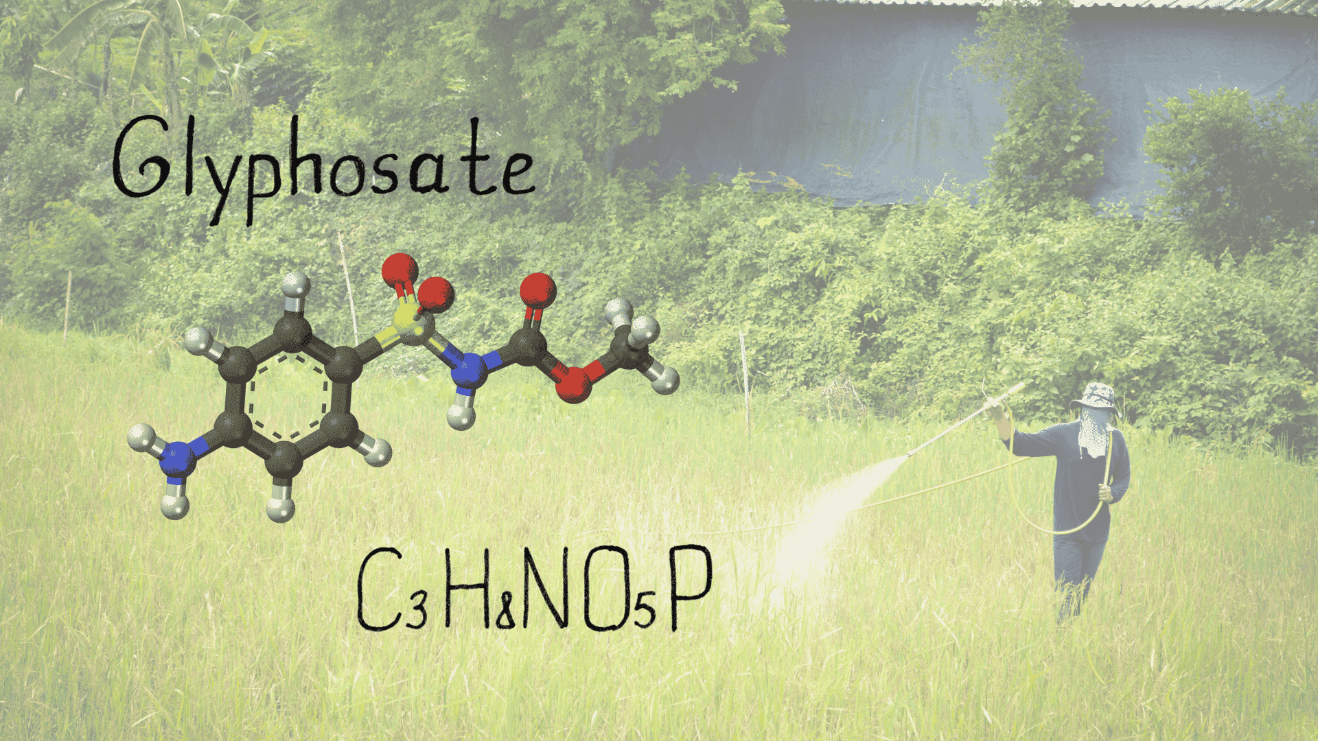 Glyphosate chemical structure with formula and farmer spraying weeds, explaining how long does it take for weed killer to work.