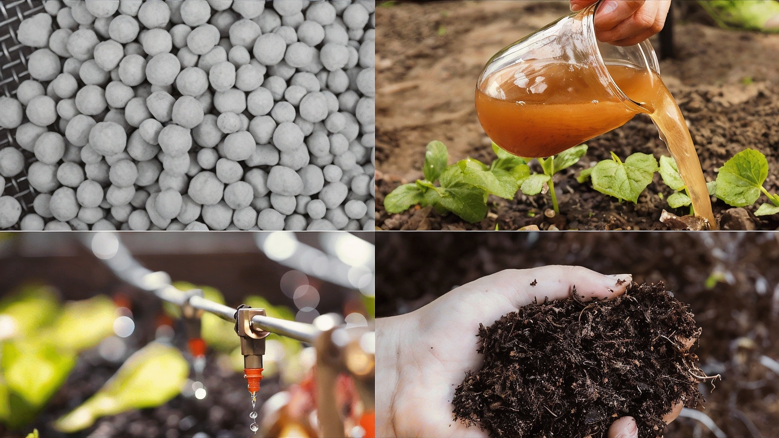 Types Of Fertilizers