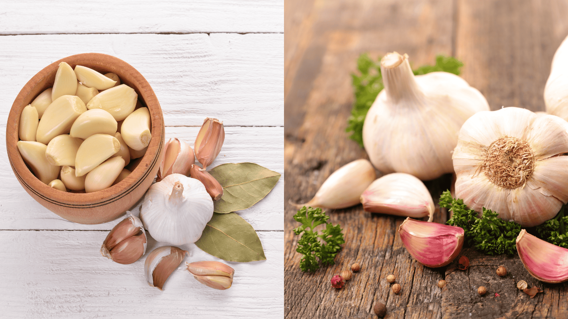 avoid-garlic-near-parsley