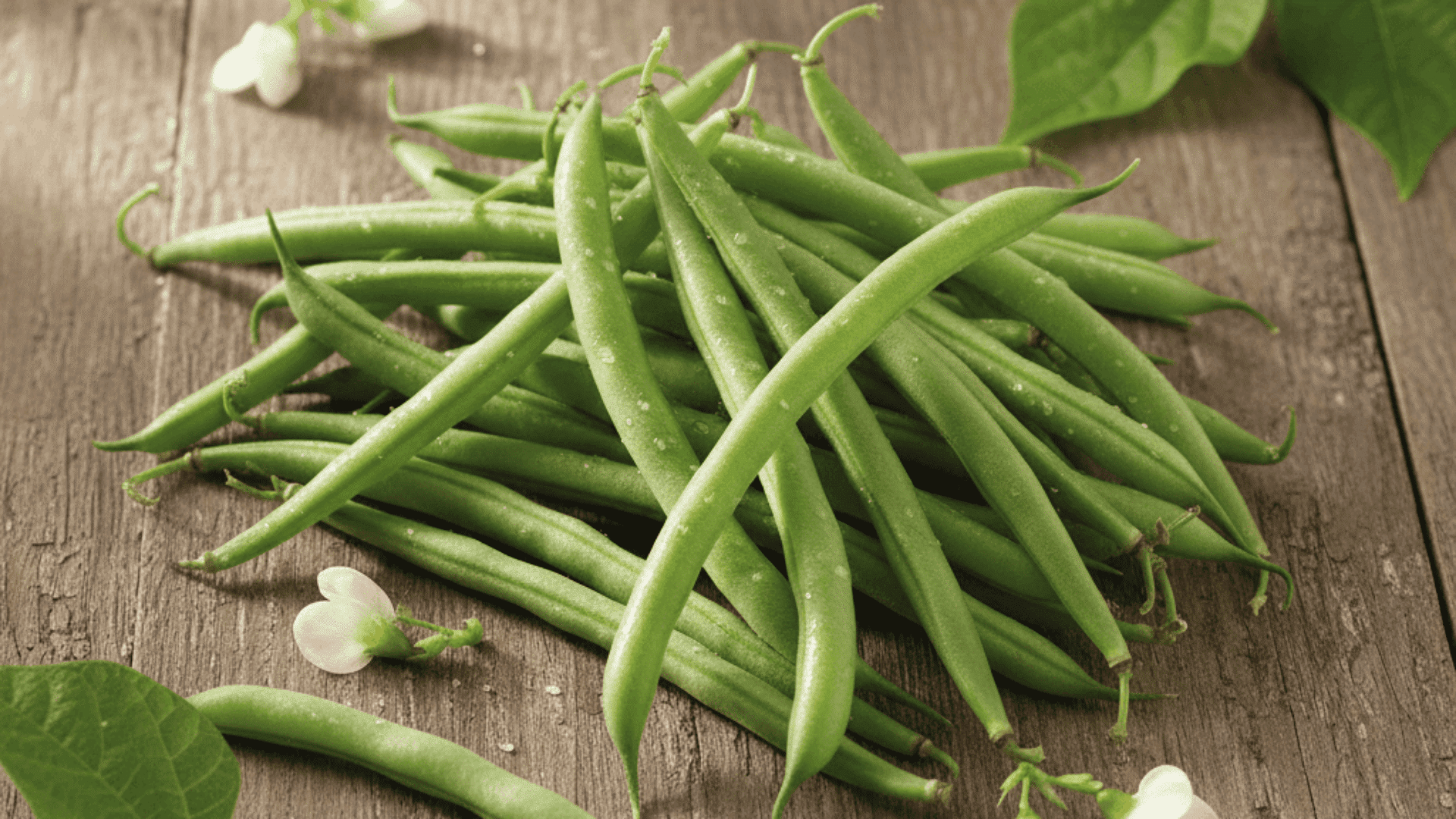 beans beet bad companion