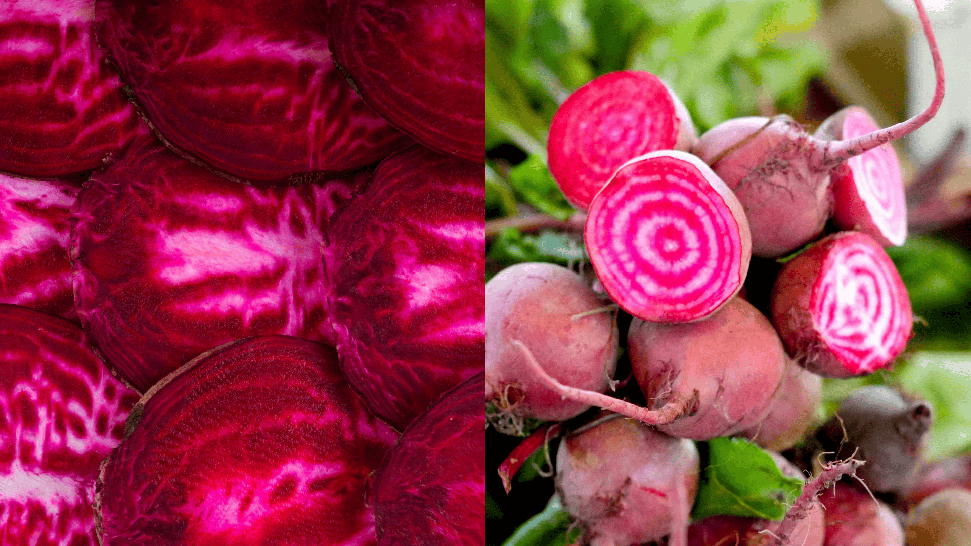 beets-arugula-companion-plant