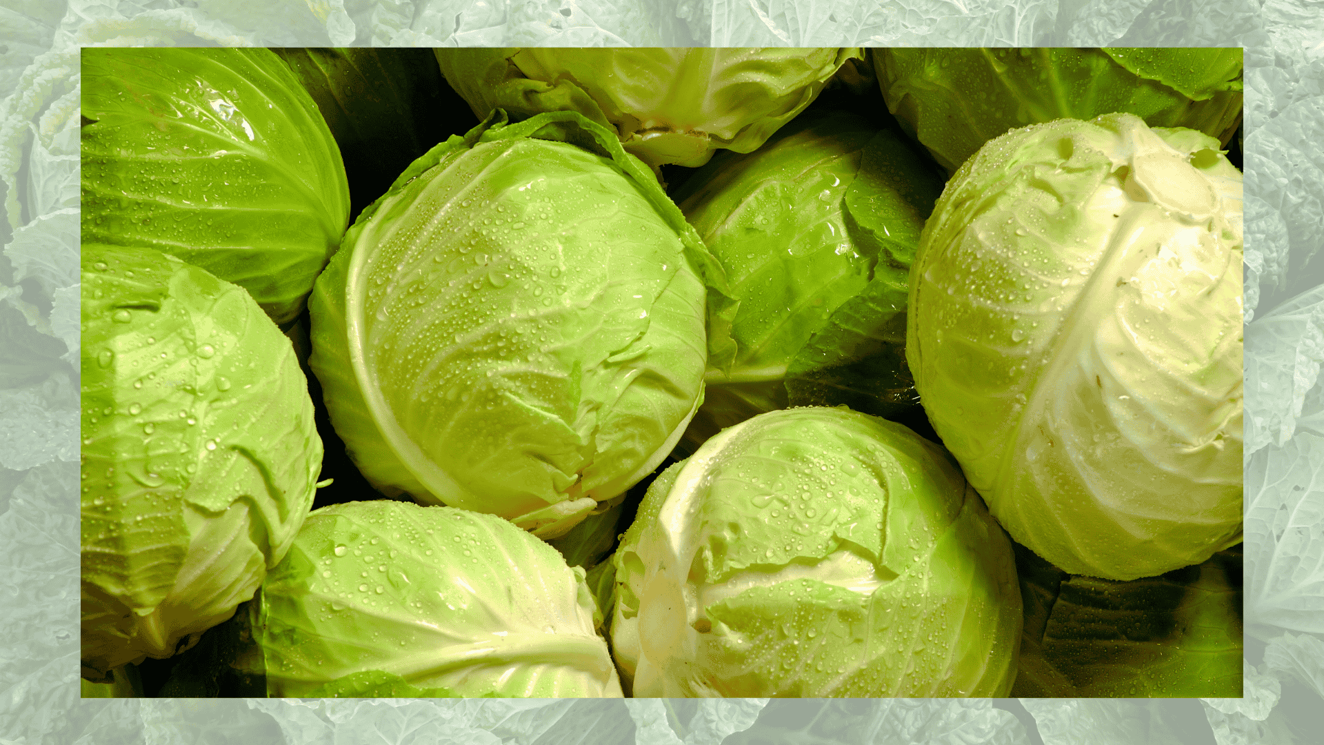 cabbage with beets
