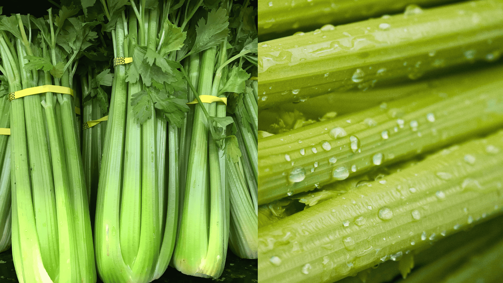 celery-brussel-sprouts-companion-plants