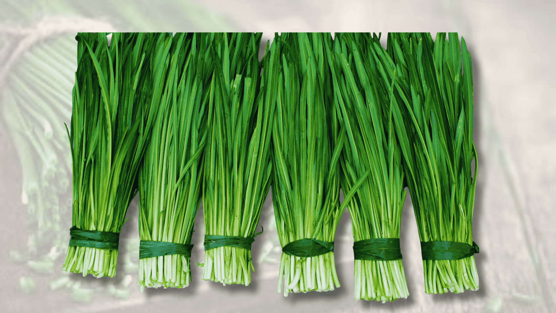 chives with beets