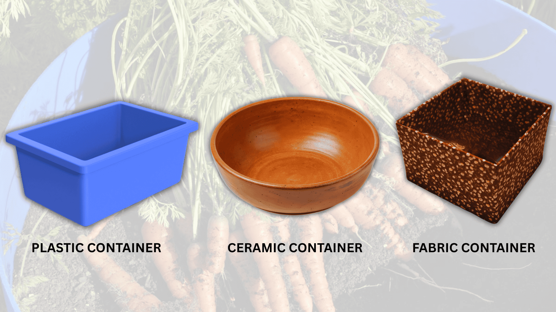 containers-growing-carrots