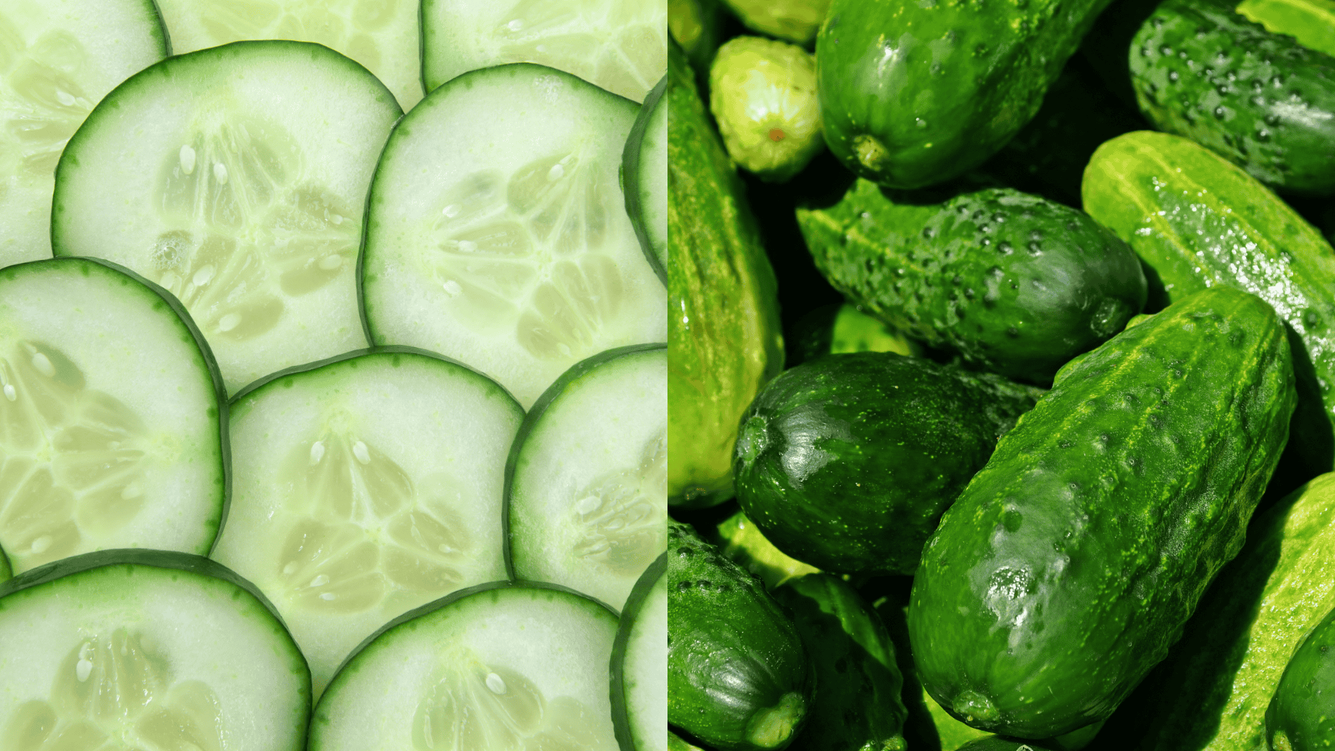 cucumbers-arugula-companion-plant