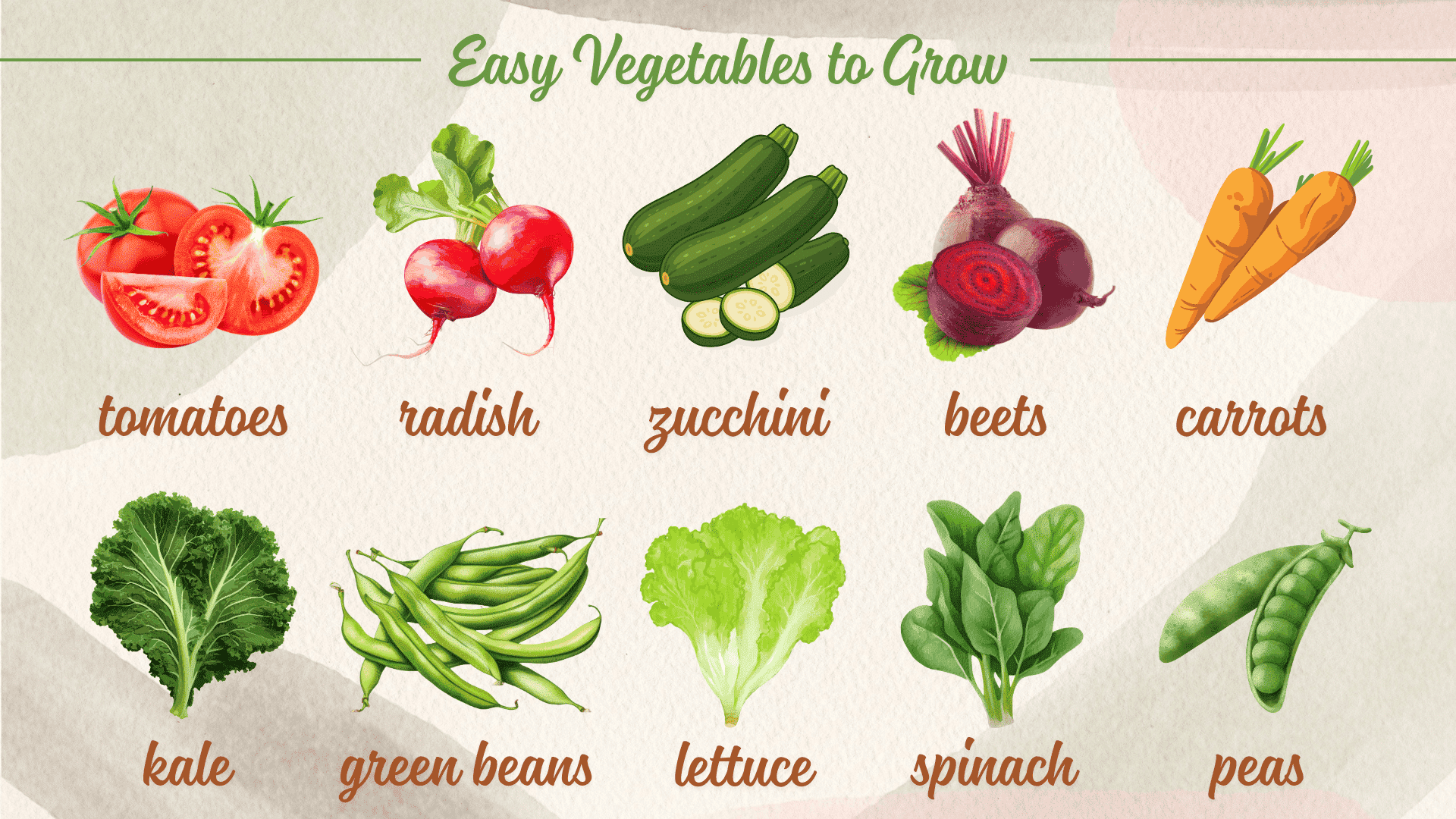 easy-vegetables-to-grow