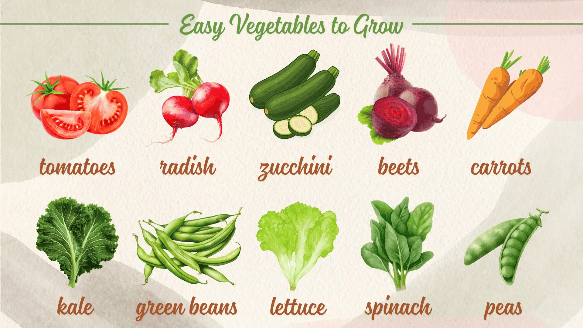 easy-vegetables-to-grow