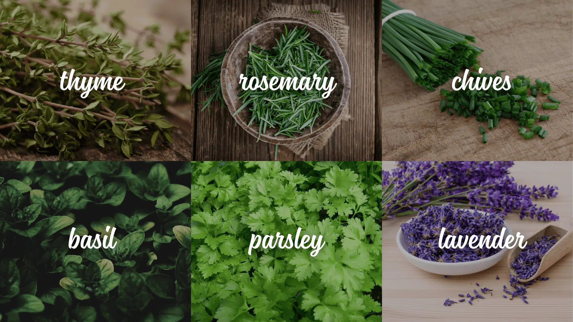 herbs-to-Include-in-a-Potager-Garden