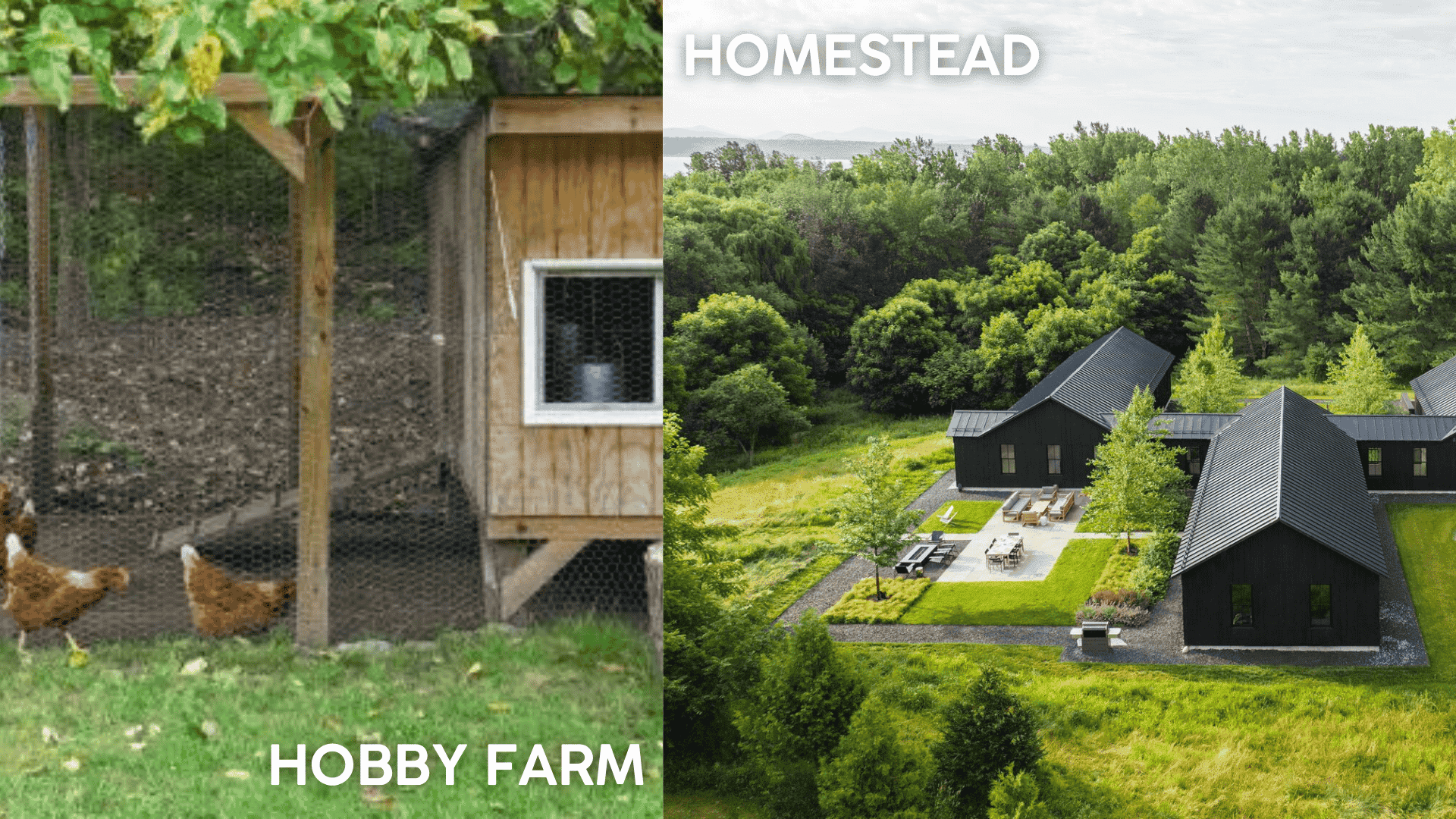 hobby farm vs homestead