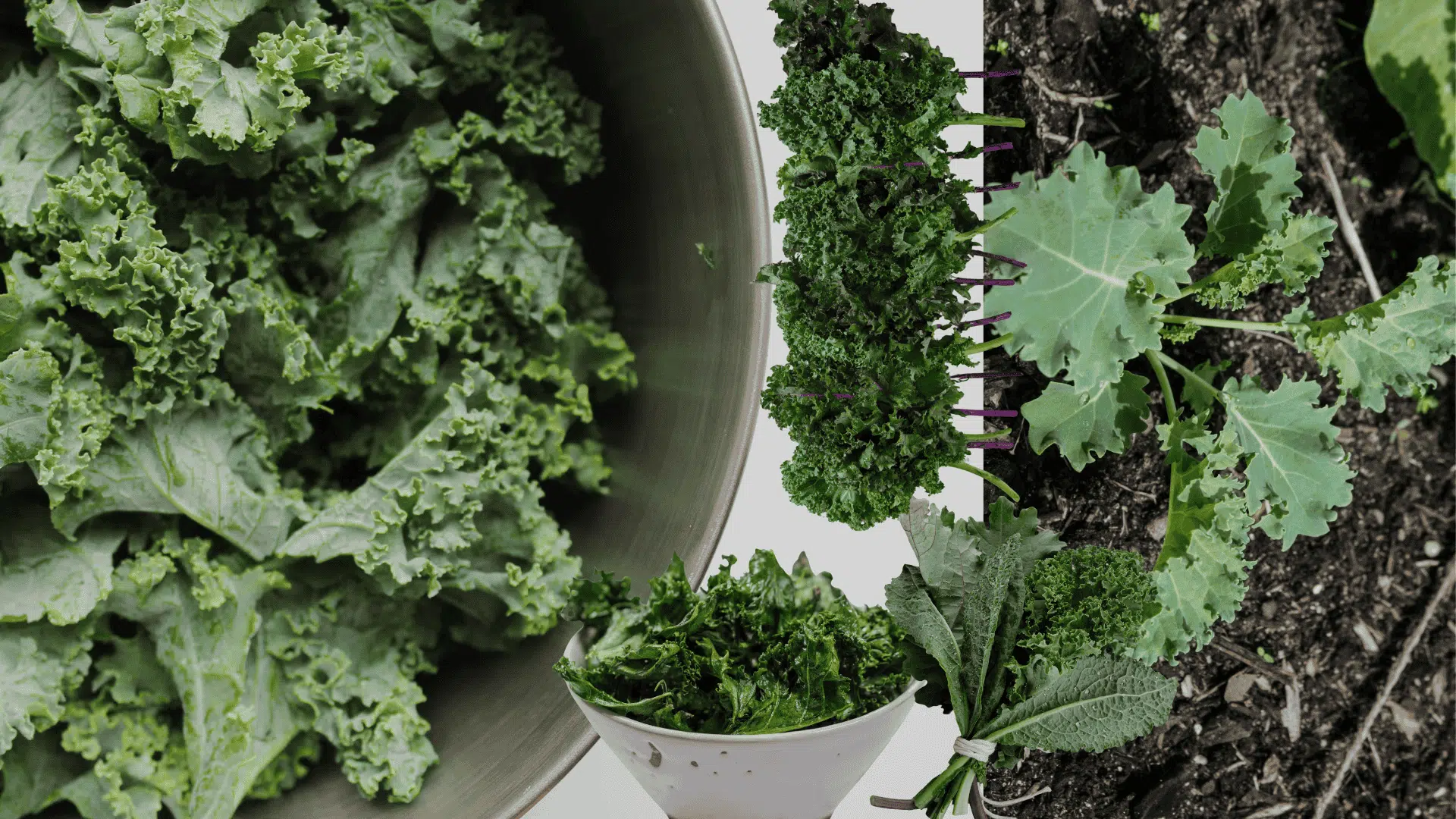 kale