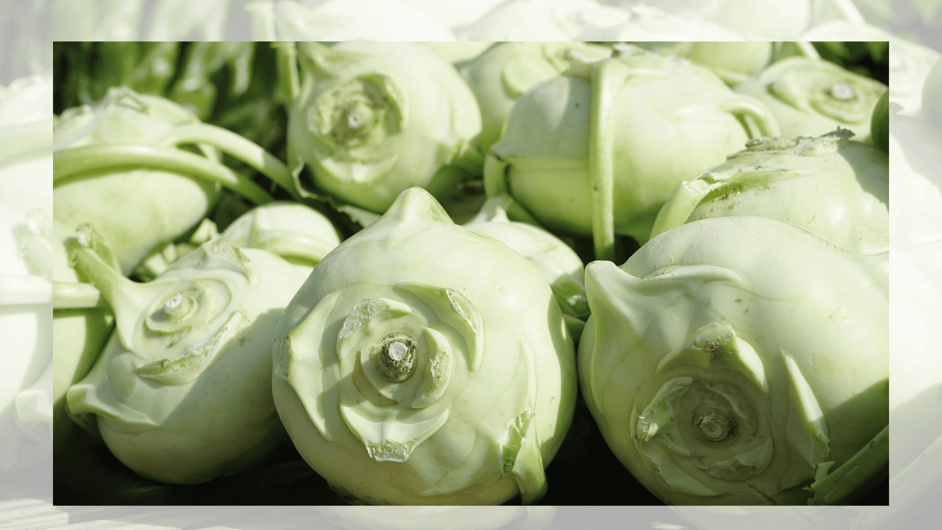 kohlrabi with beets