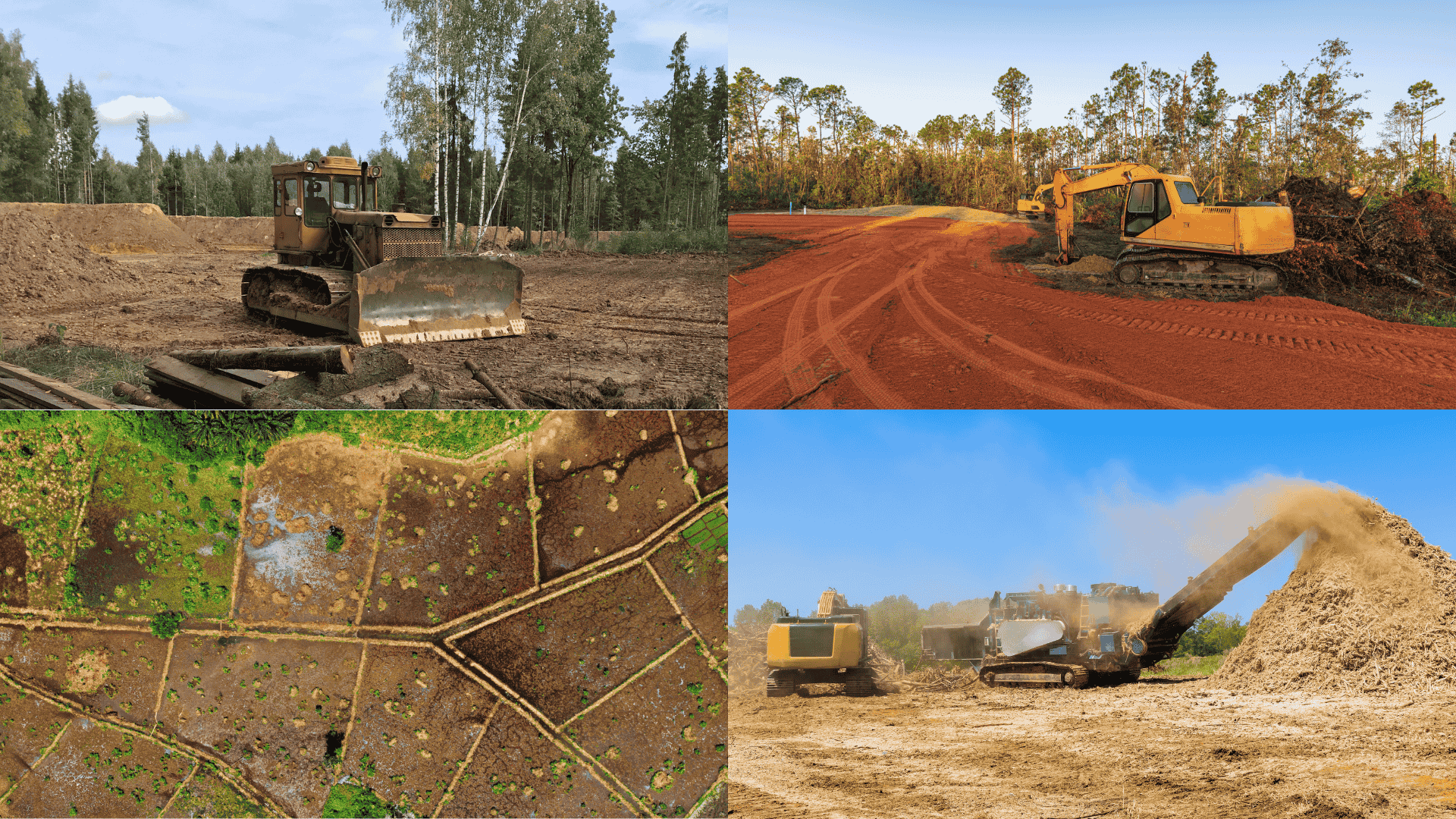 land-clearing