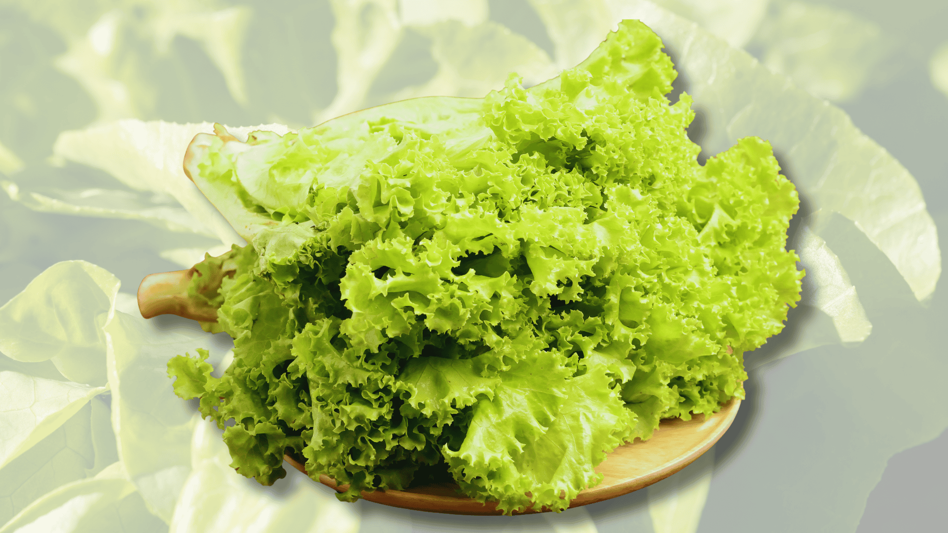 lettuce with beets