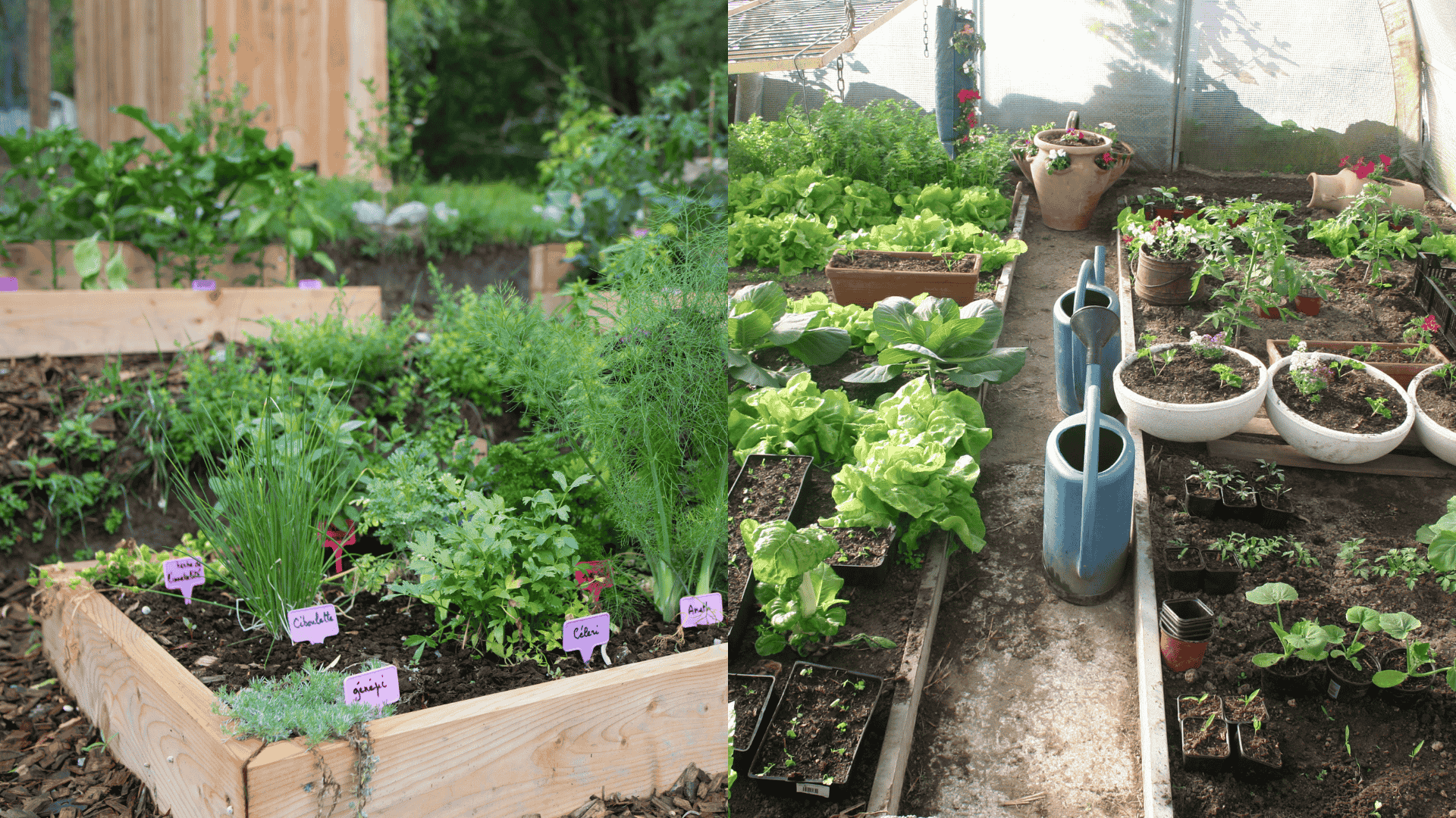 potager-garden
