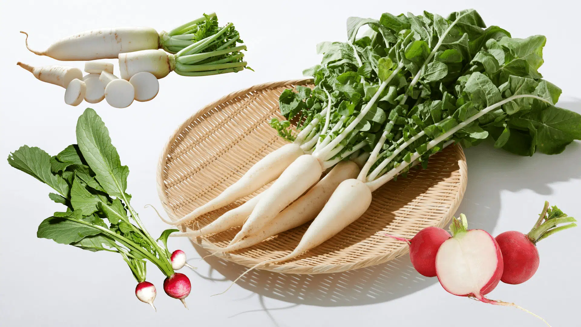radish