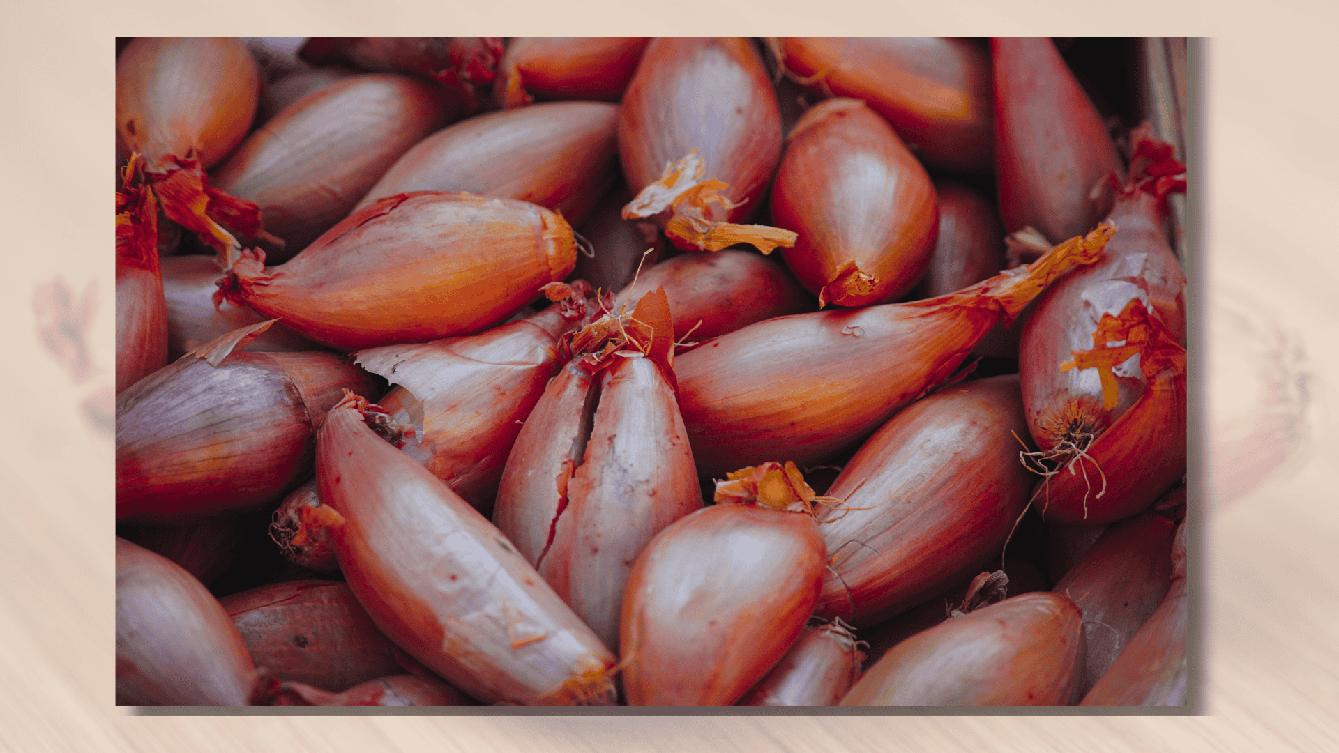 shallot with beets