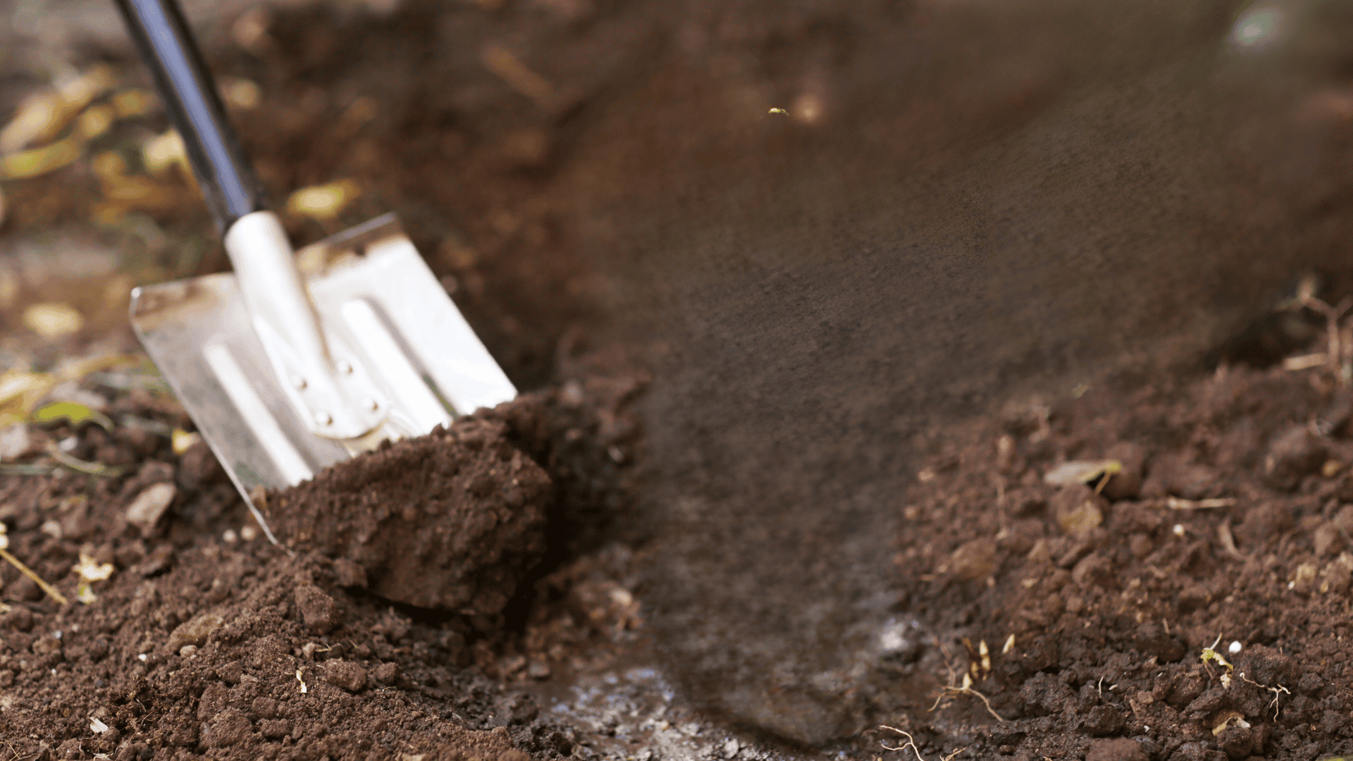 soil preparation to grow banana
