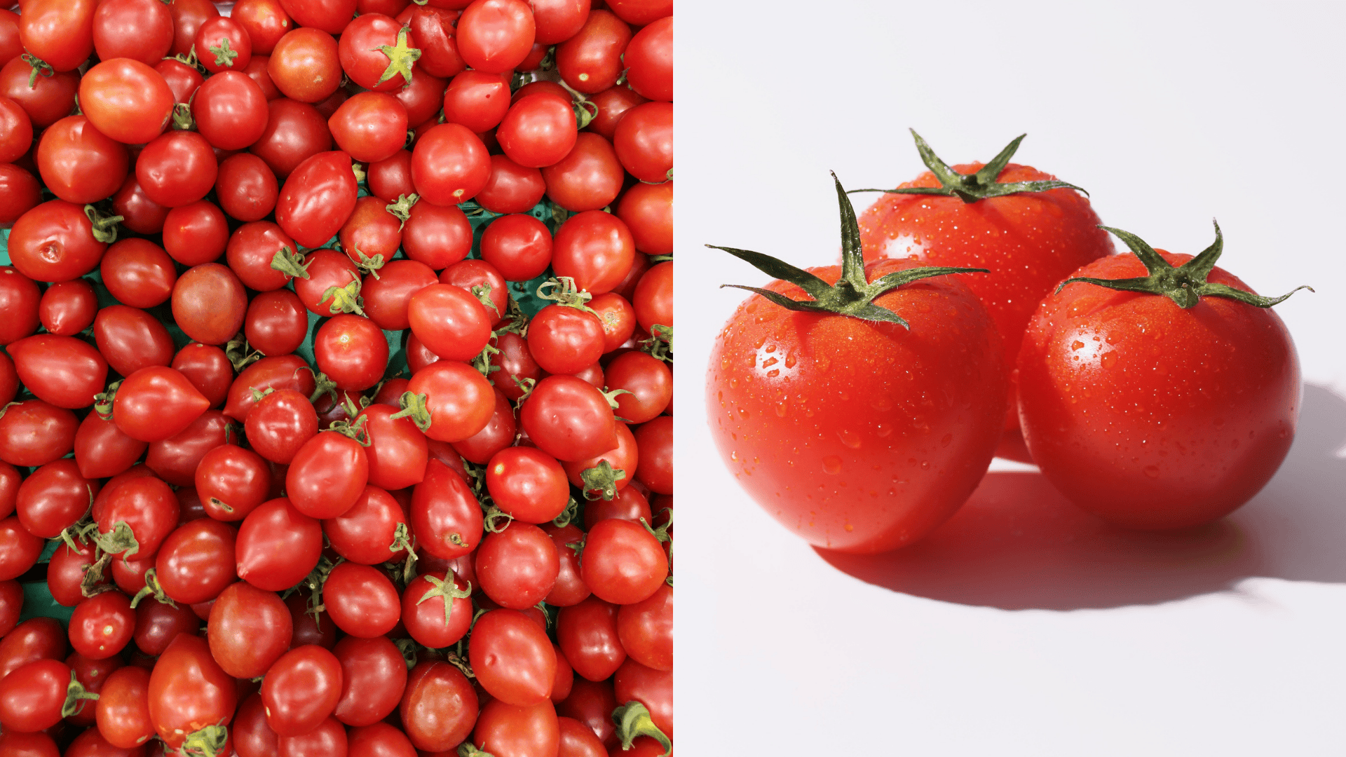 tomato-best-companion-plant-for-parsley