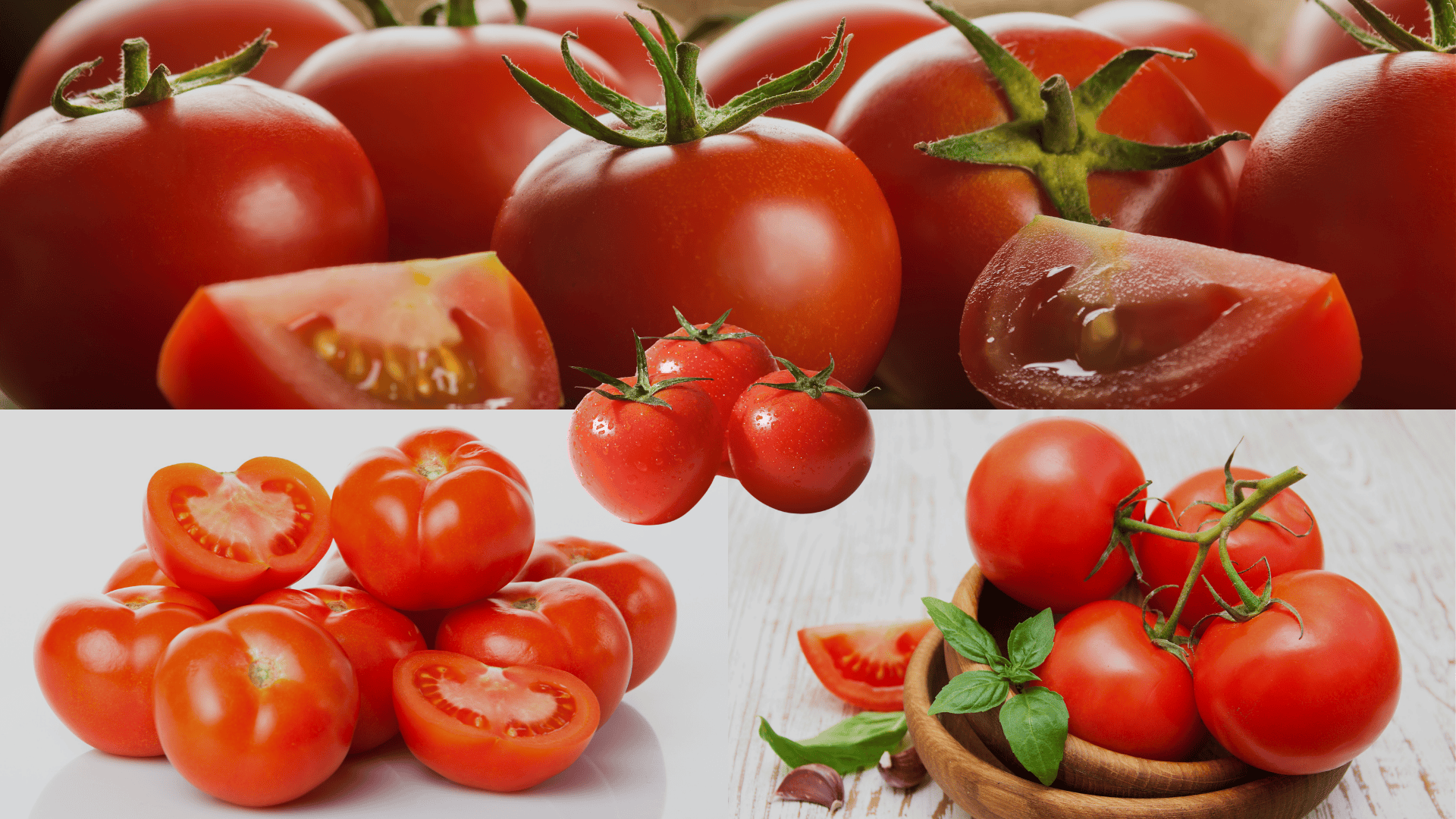 tomatoes