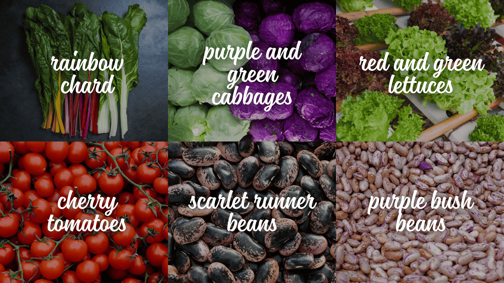 vegetables-to-Include-in-a-Potager-Garden