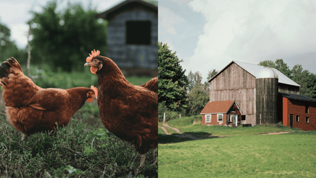 what is a hobby farm