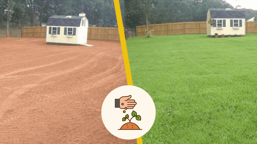 what is hydro seeding