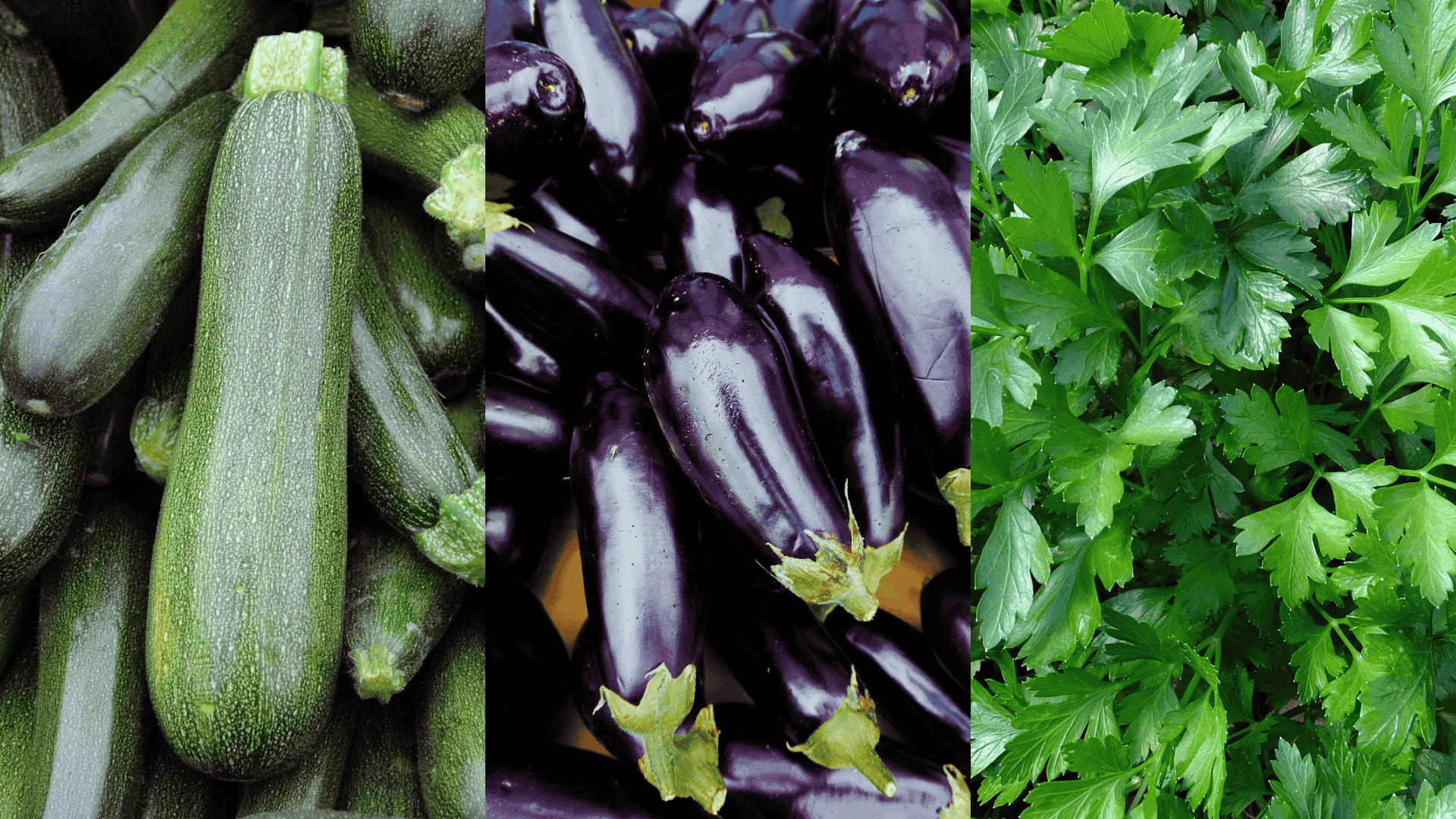 Fresh zucchini, eggplant, and parsley leaves displayed together, compatible companion plants that grow well alongside eggplant