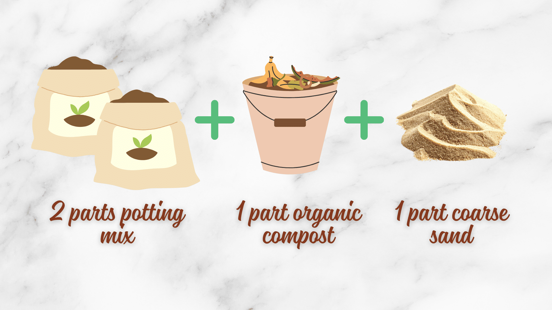 Preparing the Ideal Soil Mix for planting basil