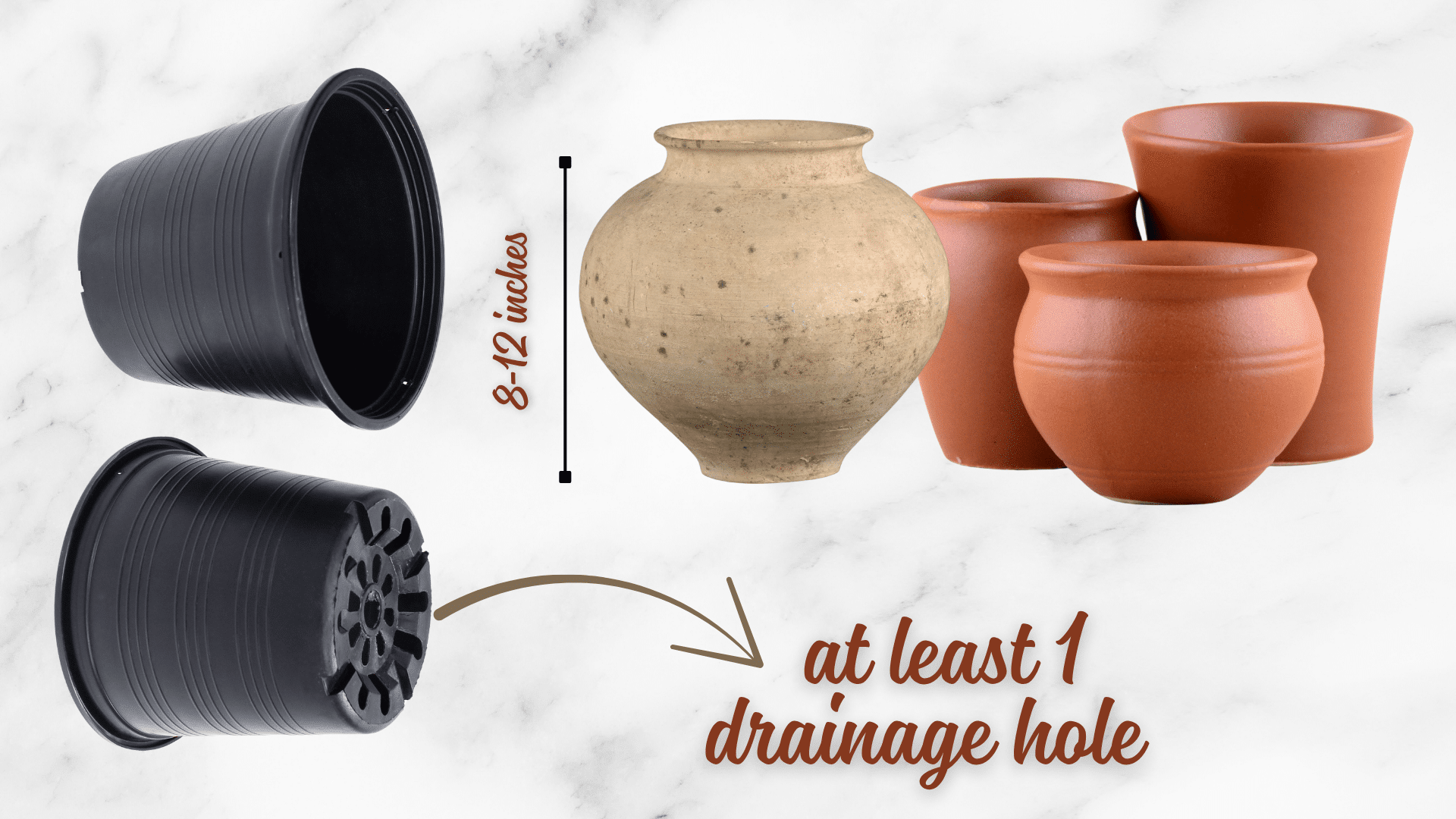 Selecting the Right Pot to grow basil