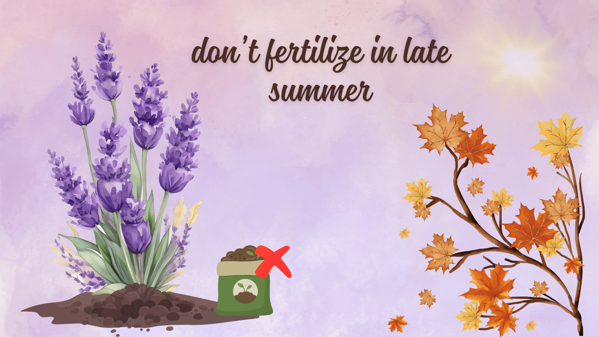 _ Stop Fertilizing in Late Summer