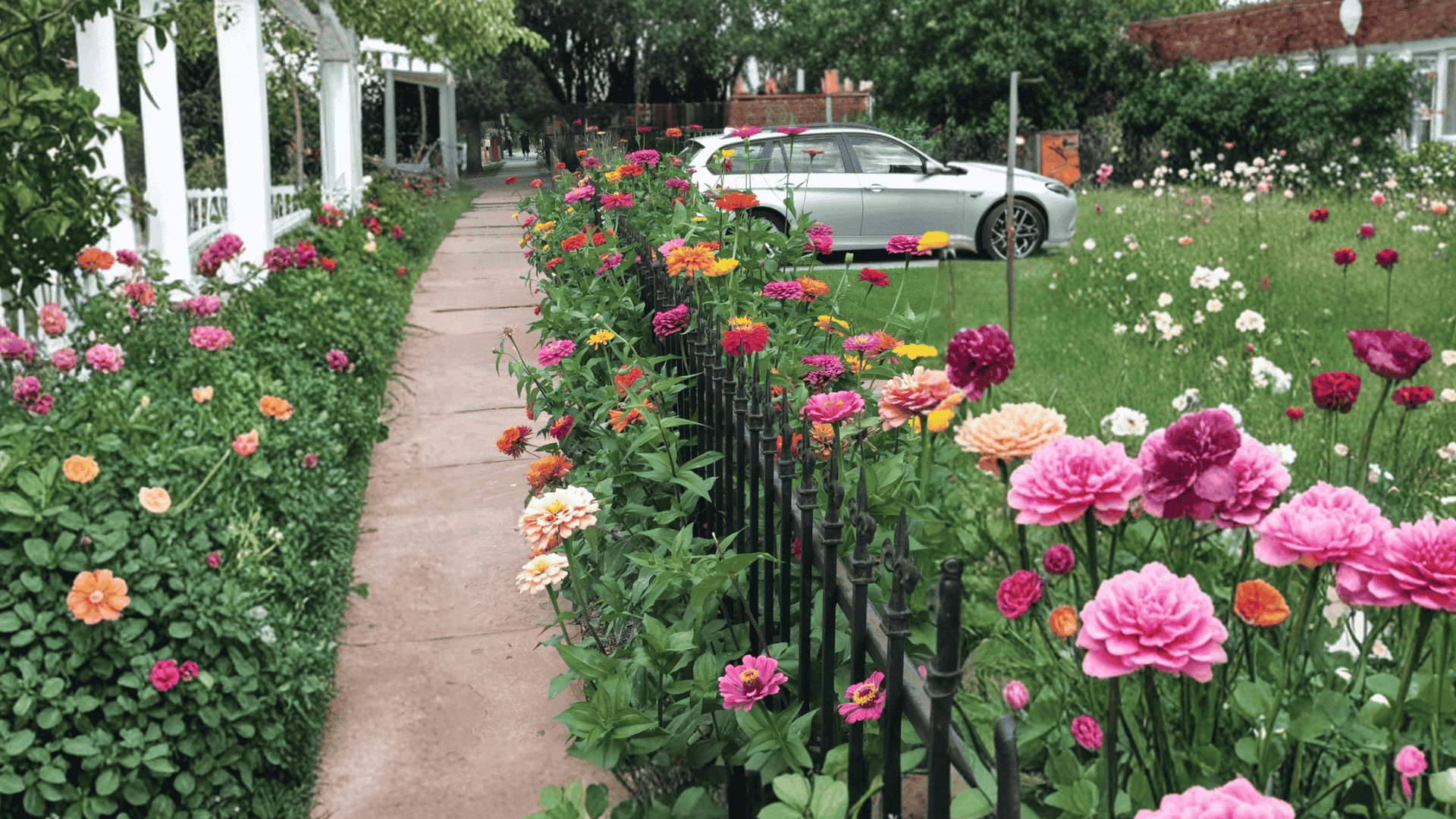 fences and borders zinnia ideas