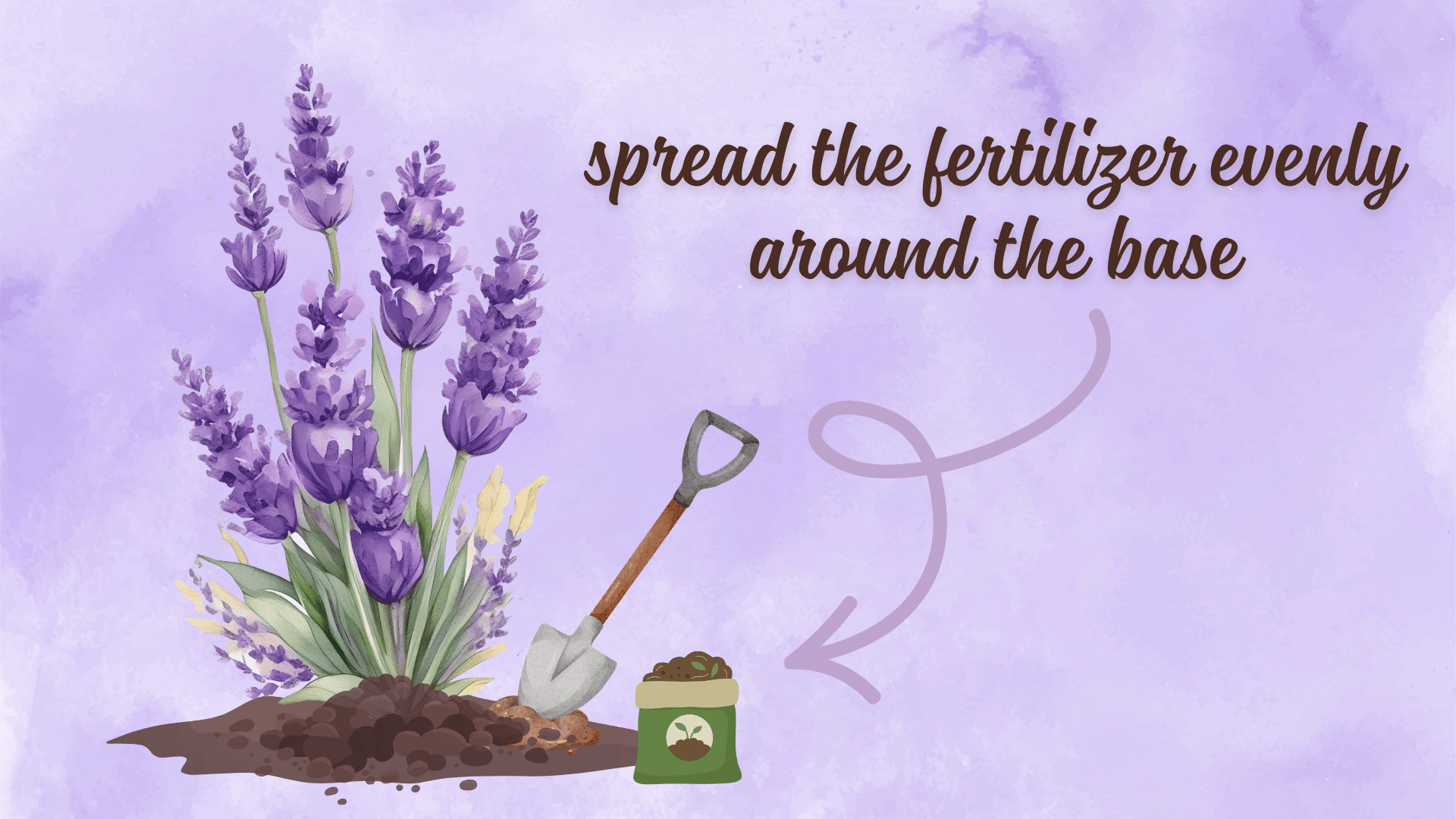 spread the fertilizer evenly around the base