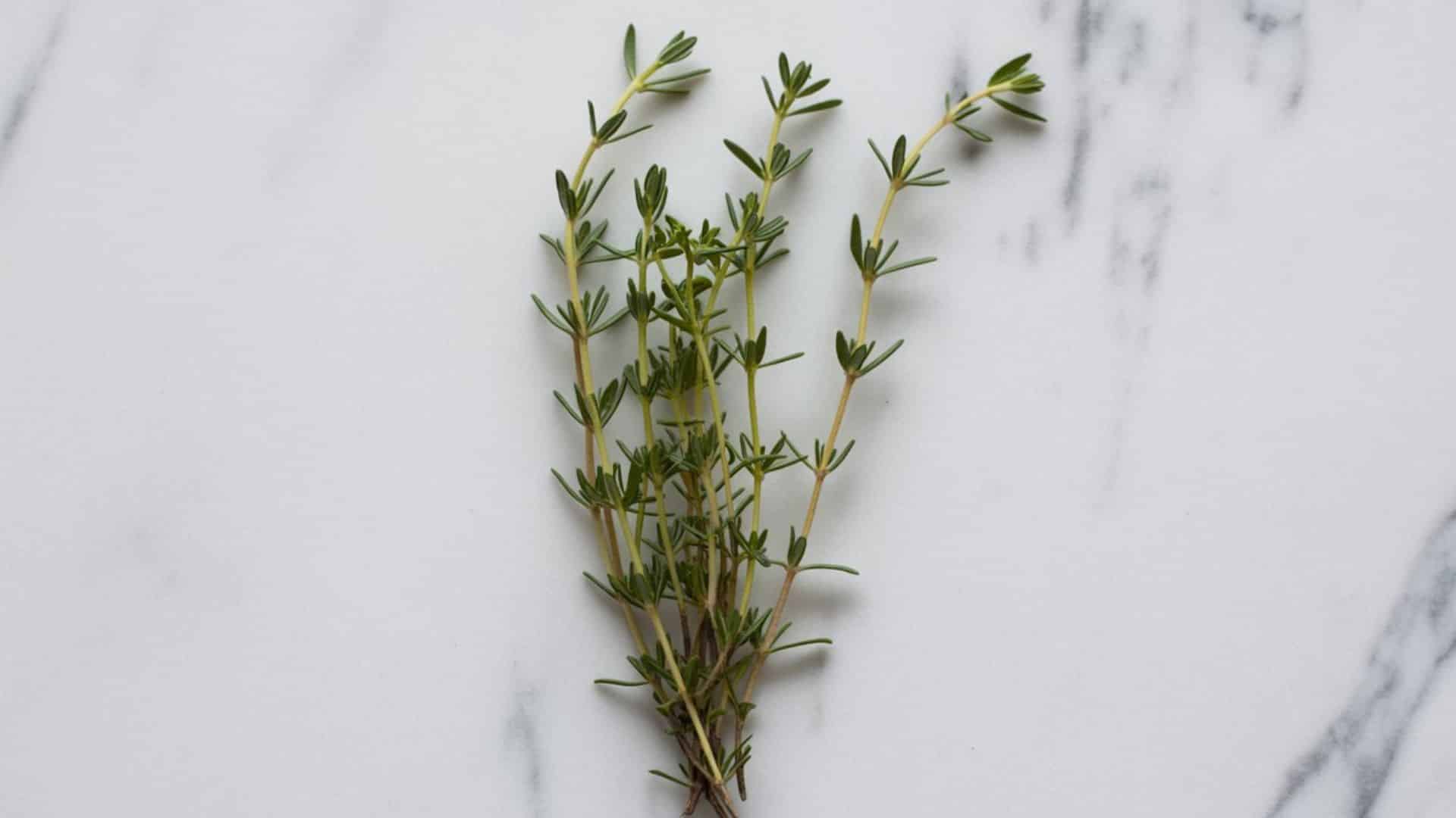 Fresh thyme sprigs on a marble surface showing both tender green stems and woody lower stems that affect whether thyme stems are edible