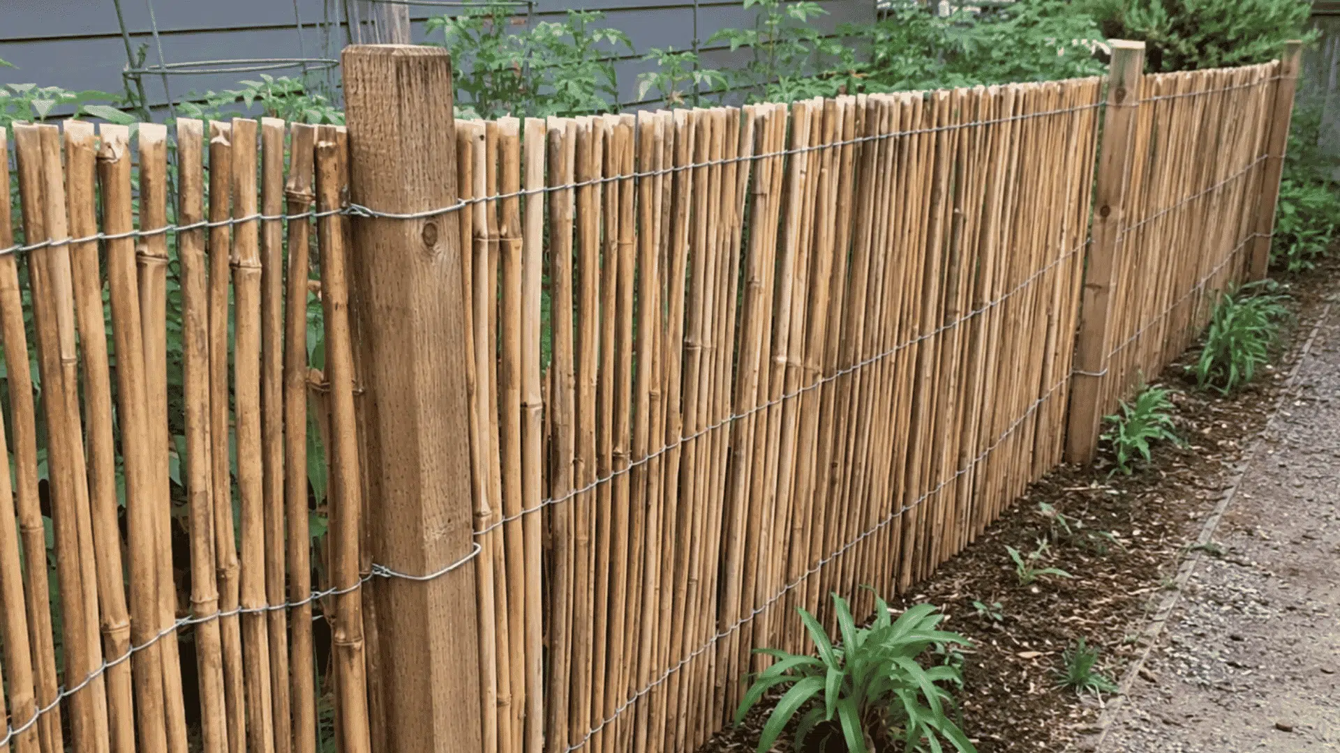 Bamboo roll fence tied to wooden stakes beside a gravel garden path