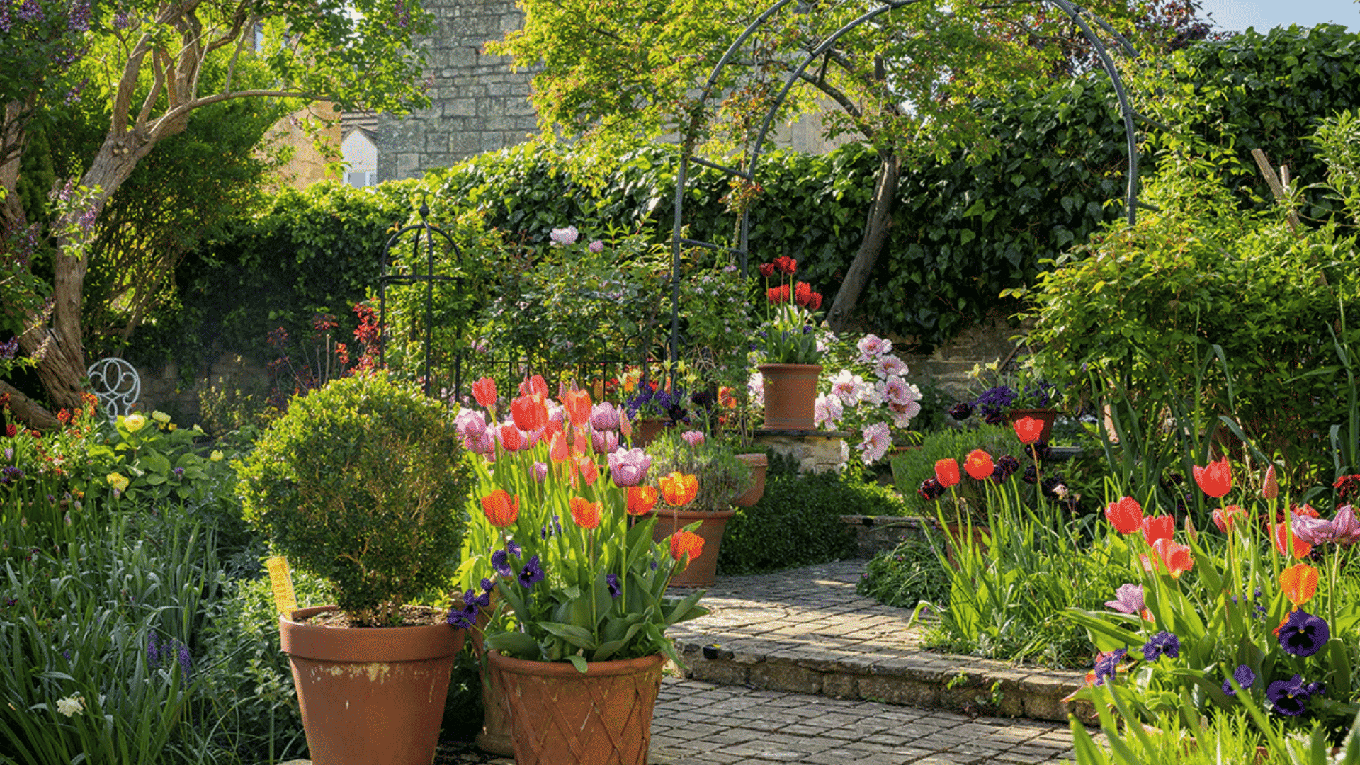 Curved garden path with colorful flowers, trimmed shrubs, and green plants in a lush landscaped backyard garden.