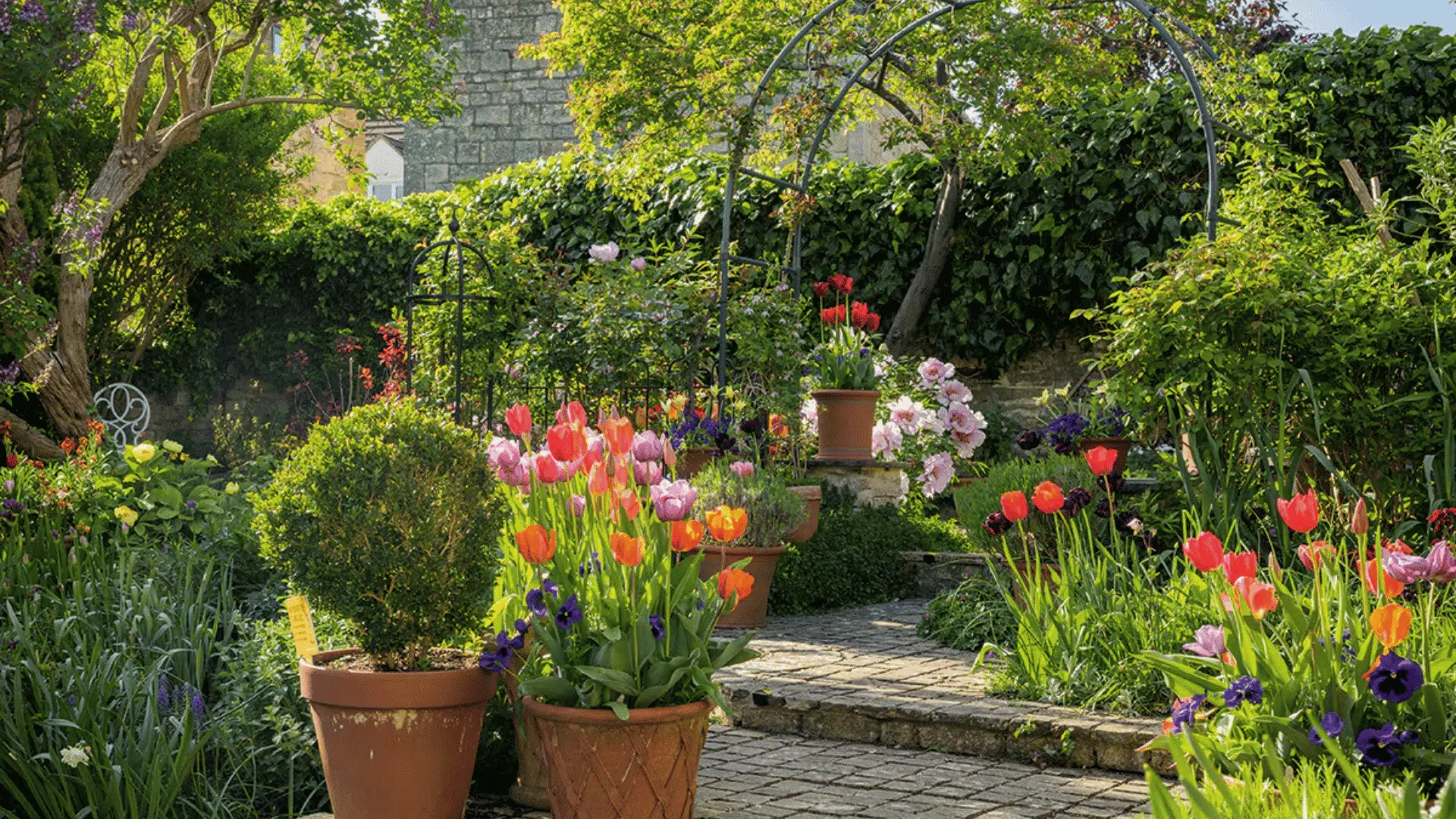 Curved garden path with colorful flowers, trimmed shrubs, and green plants in a lush landscaped backyard garden.